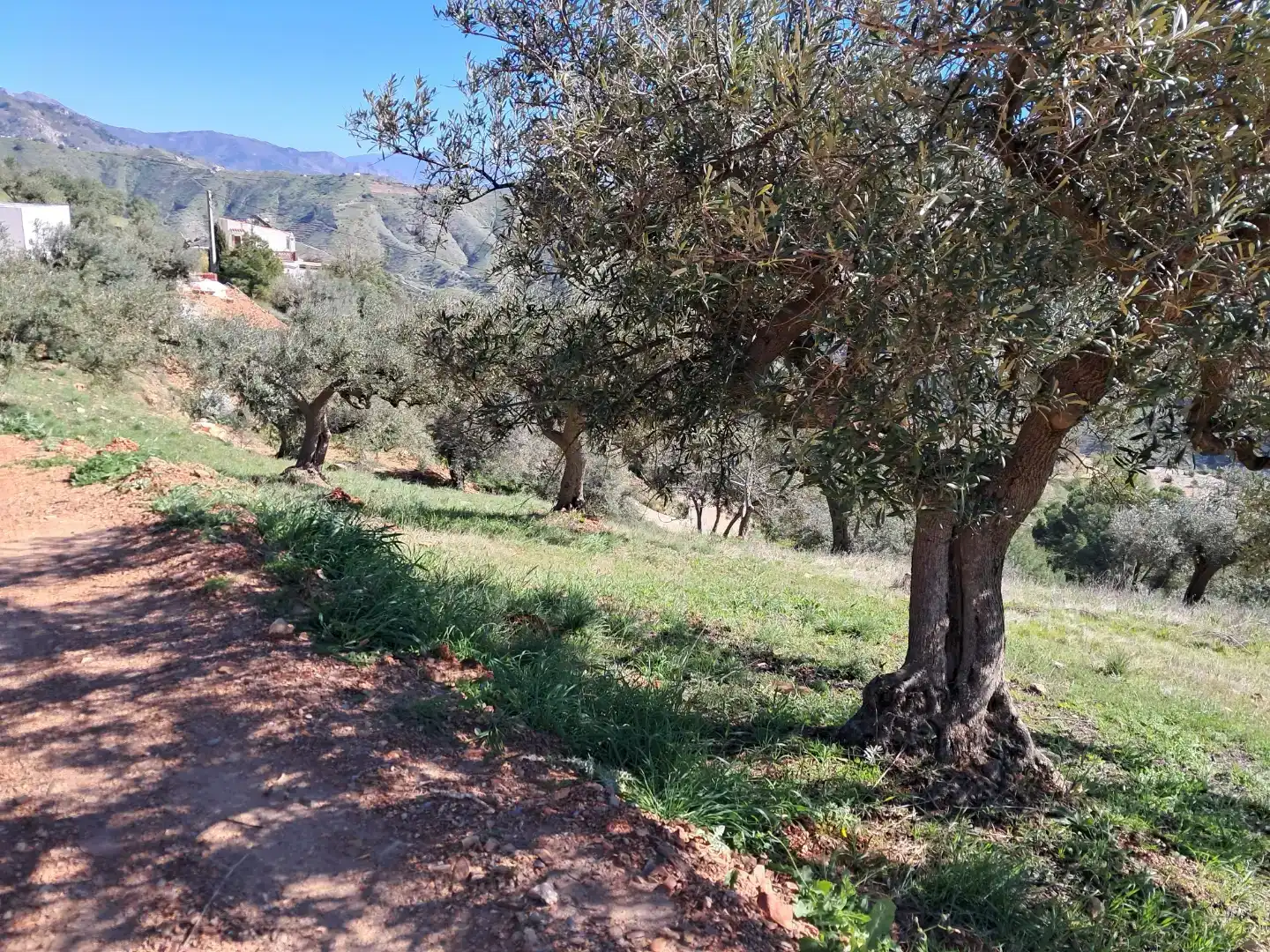 Vista exterior de Finca rústica en venda en Almuñécar amb Traster, Moblat i Forn