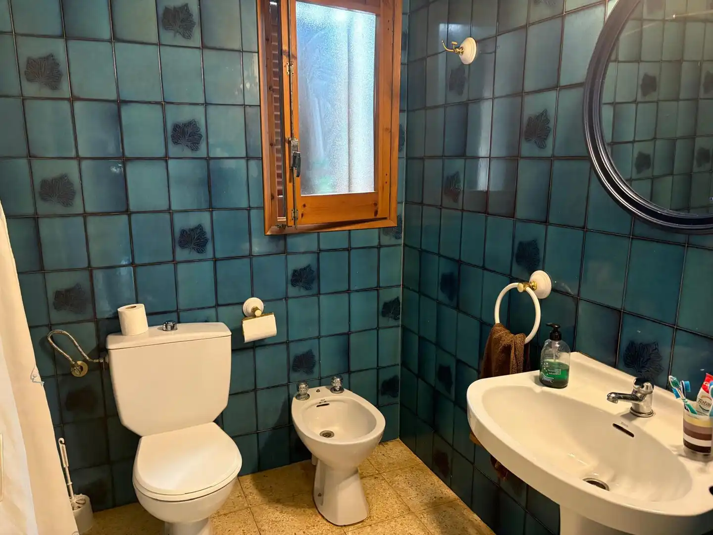 Bany de Casa o xalet en venda en L'Ametlla de Mar  amb Jardí privat i Terrassa