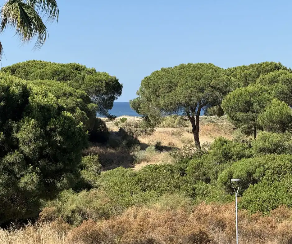 Casa o chalet de alquiler en El Portil con Aire acondicionado, Terraza y Amueblado