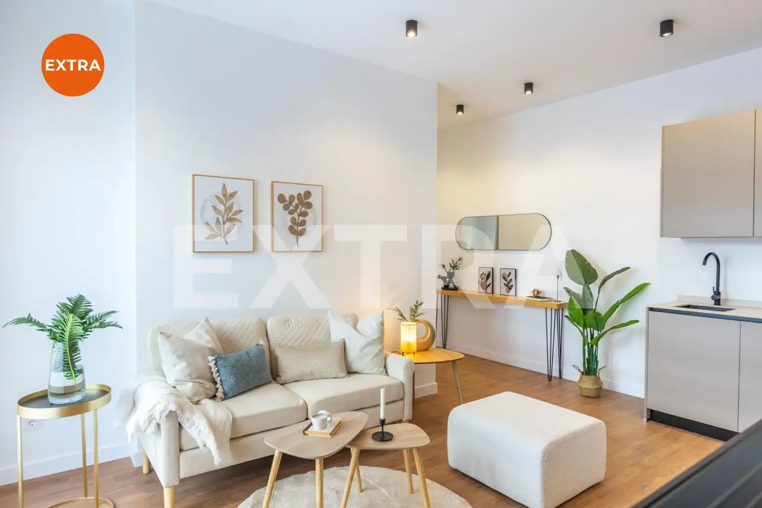 Sala d'estar de Apartament en venda en Ciudad Lineal