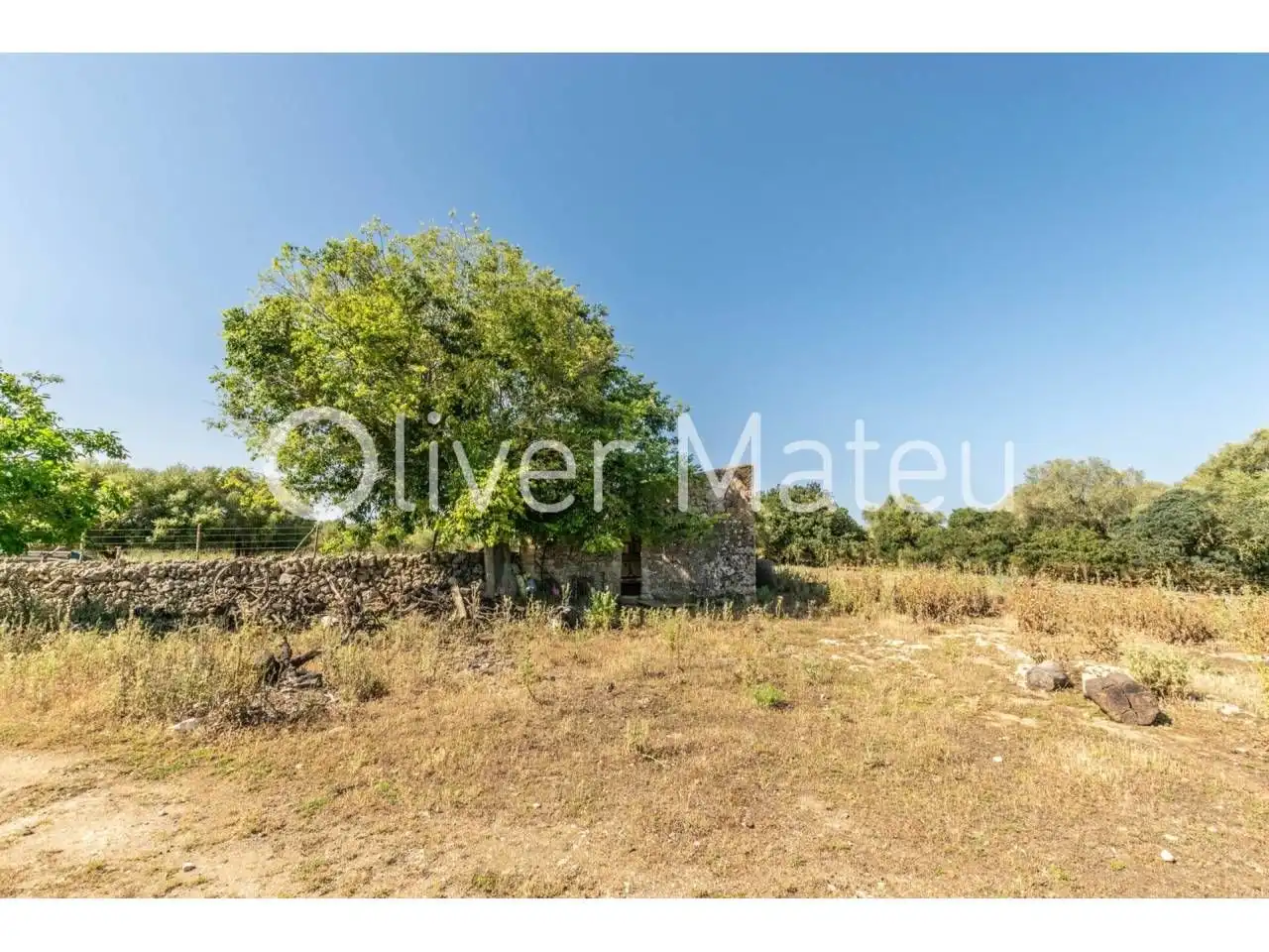 Casa o xalet en venda en Lloret de Vistalegre amb Jardí privat i Terrassa