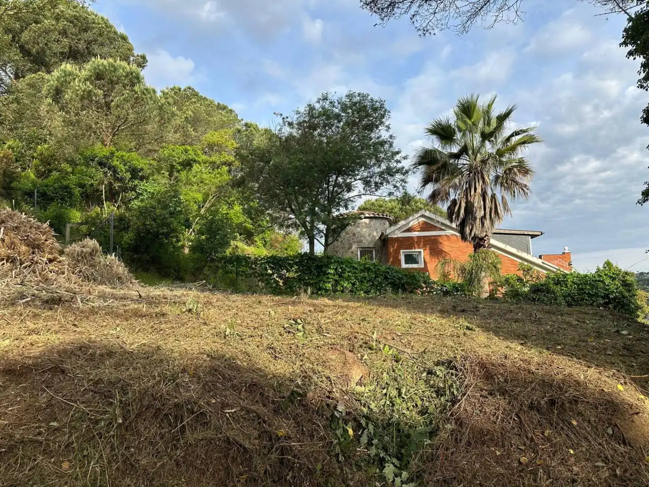 Terreno rústico en venta en Avenida Mil·lenni 22, imagen 2