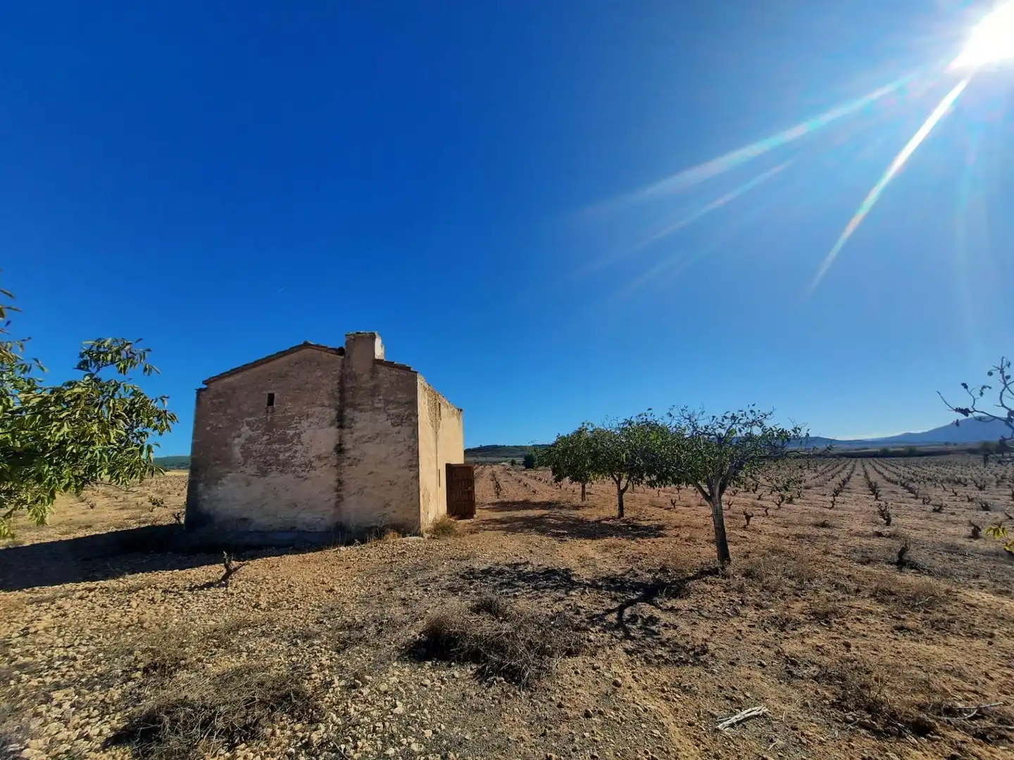 Casa rustica in vendita a Almansa, imagen 4
