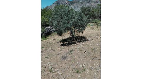 Photo 5 of Residential for sale in Casarabonela, Málaga