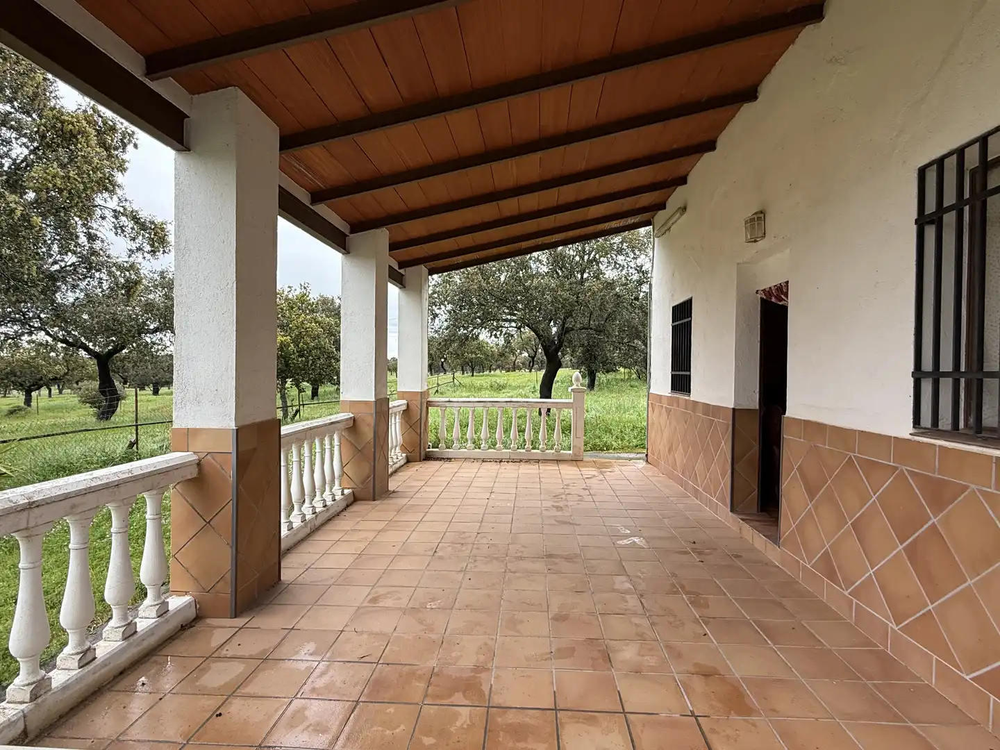 Terreny rústic en venda a Polígono POLíGONO 20 PARAJE 160 DEHESA DE ALFILEJO 25, imagen 21
