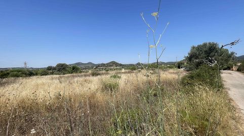 Foto 5 de Terreno en venta en Zona d'Interior, Son Servera