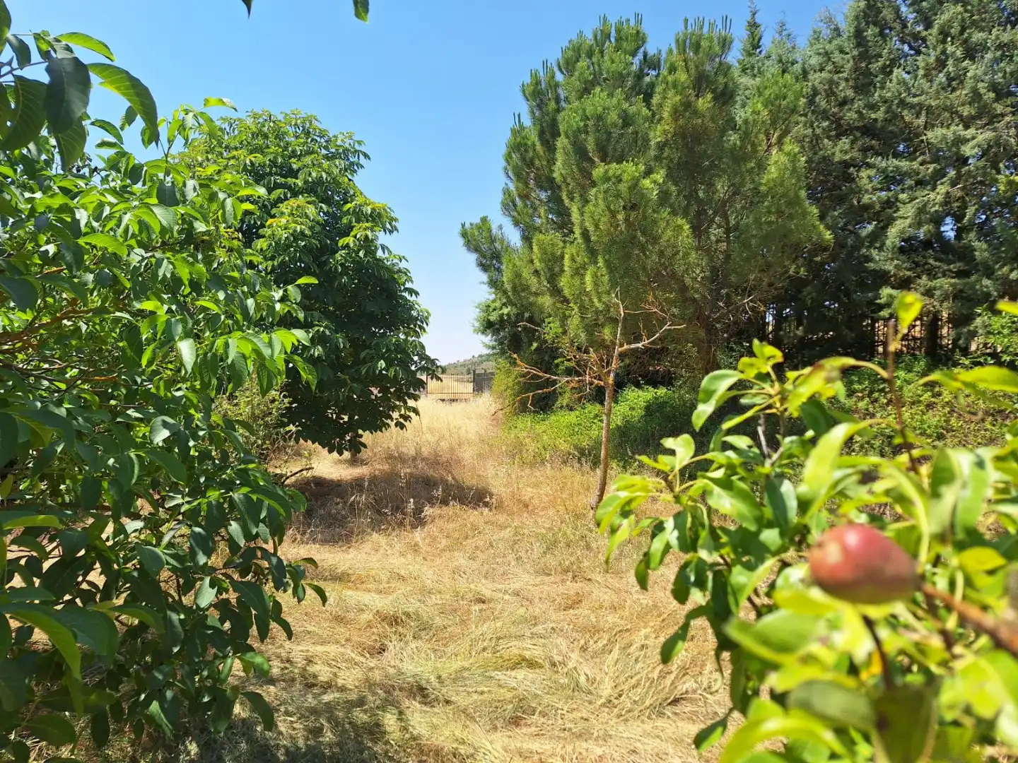 Casa o chalet en venta en Valle de Santibáñez con Jardín privado y Trastero