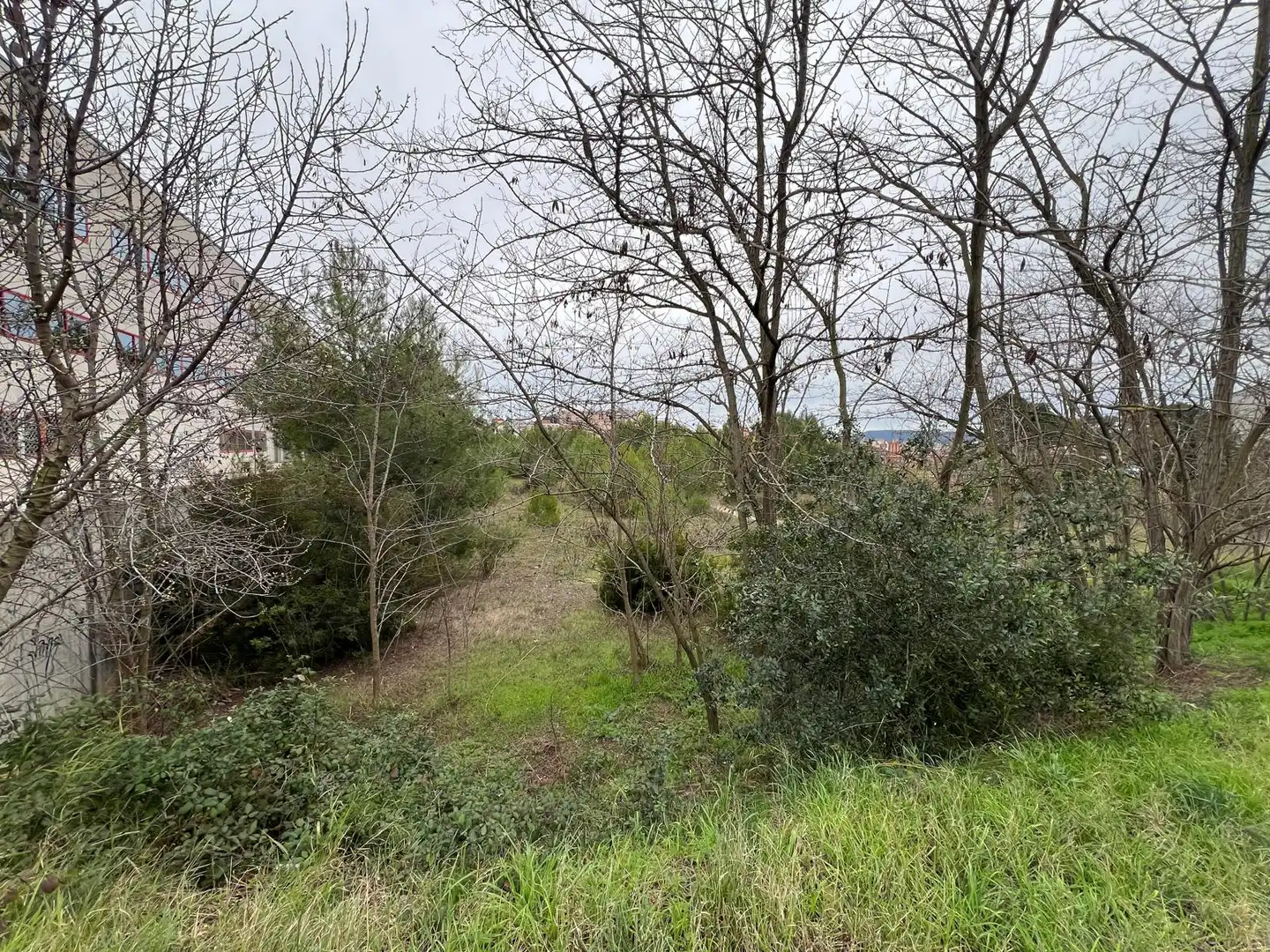 Terreno industriale in vendita a Plaça la Llana 1, imagen 8