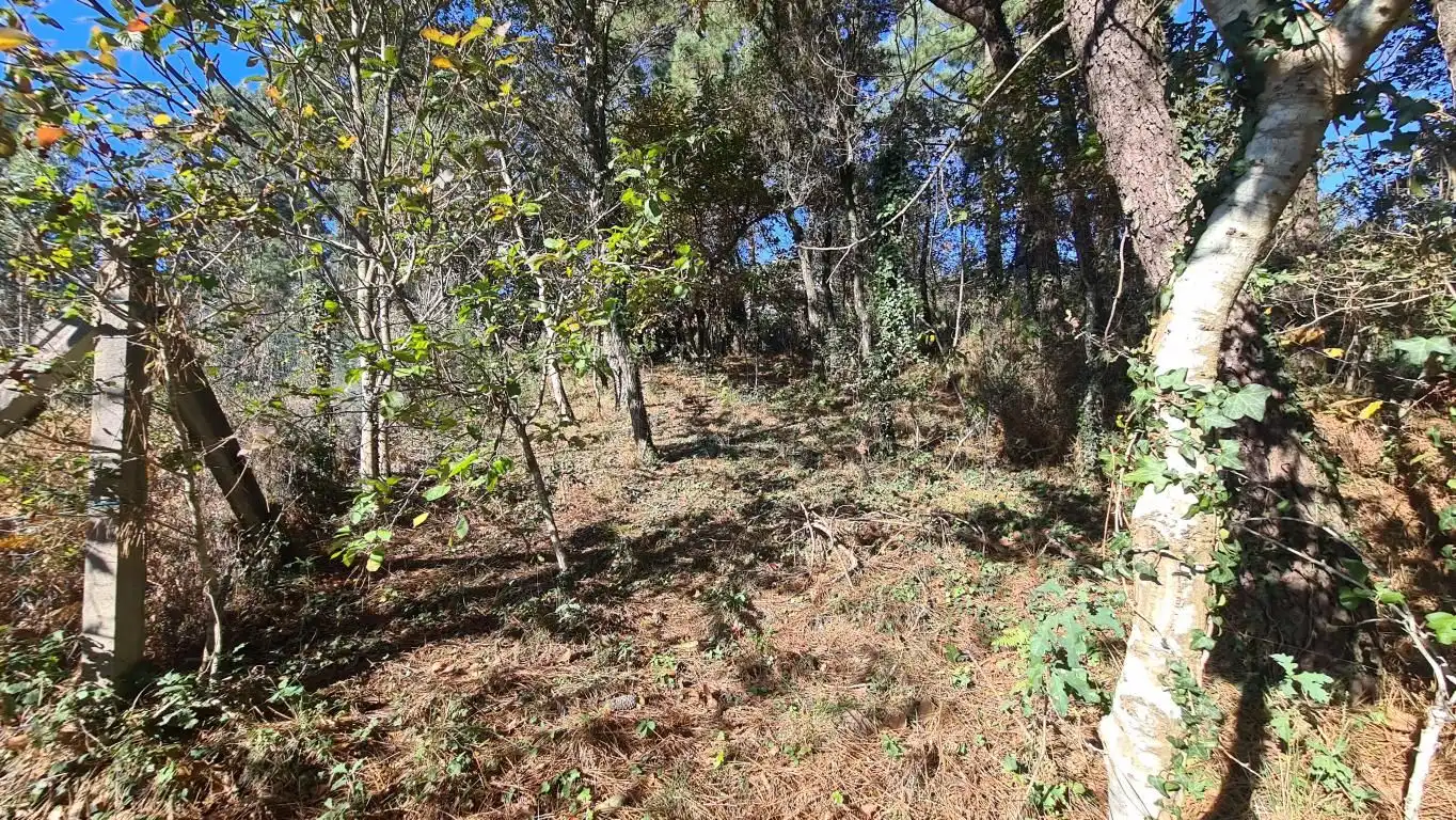 Nave industrial en venta en Boiro