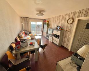 Living room of Flat for sale in Pineda de Mar  with Storage room, Oven and Balcony