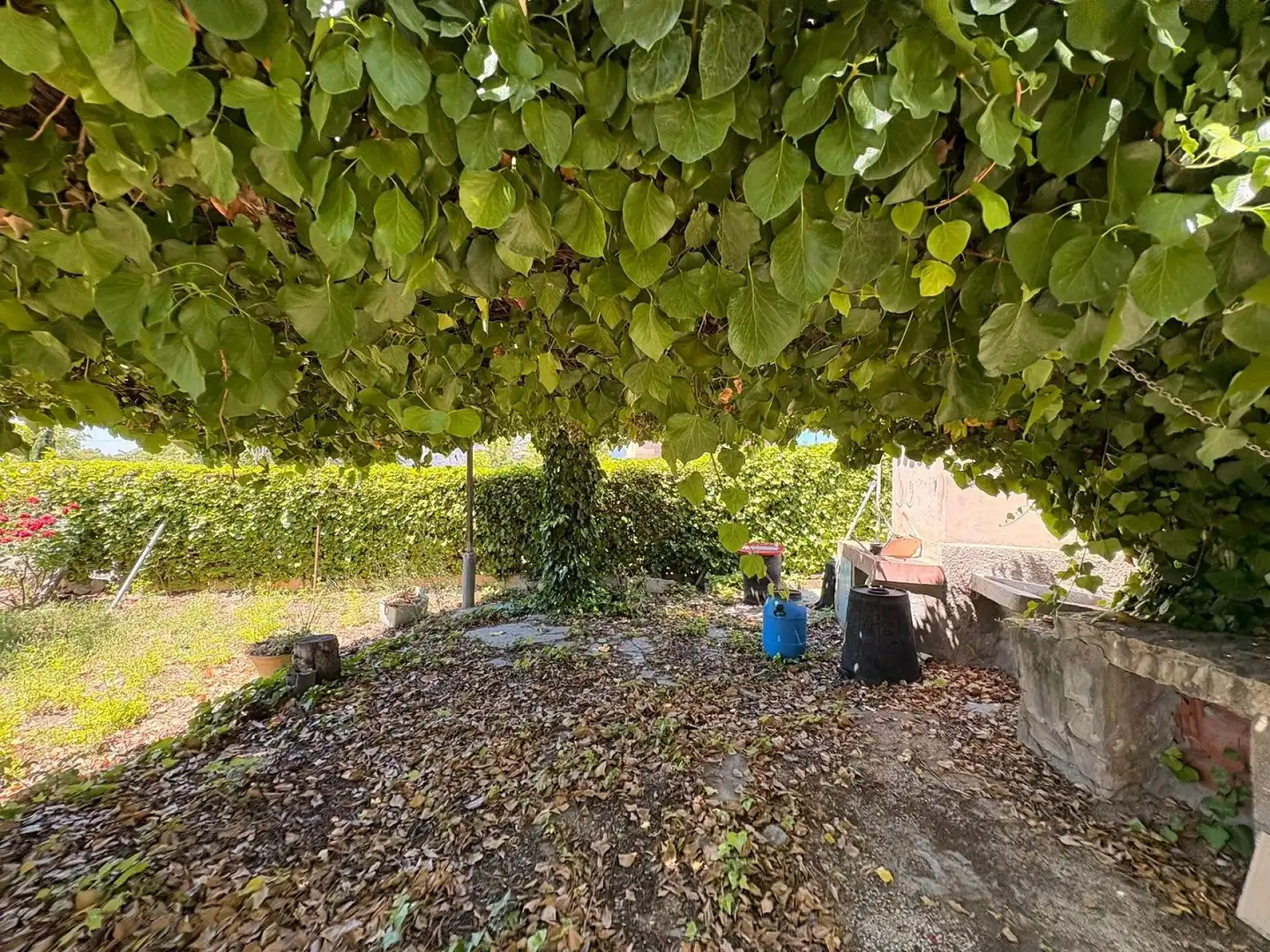 Casa rústica en venta en La Romana, imagen 10