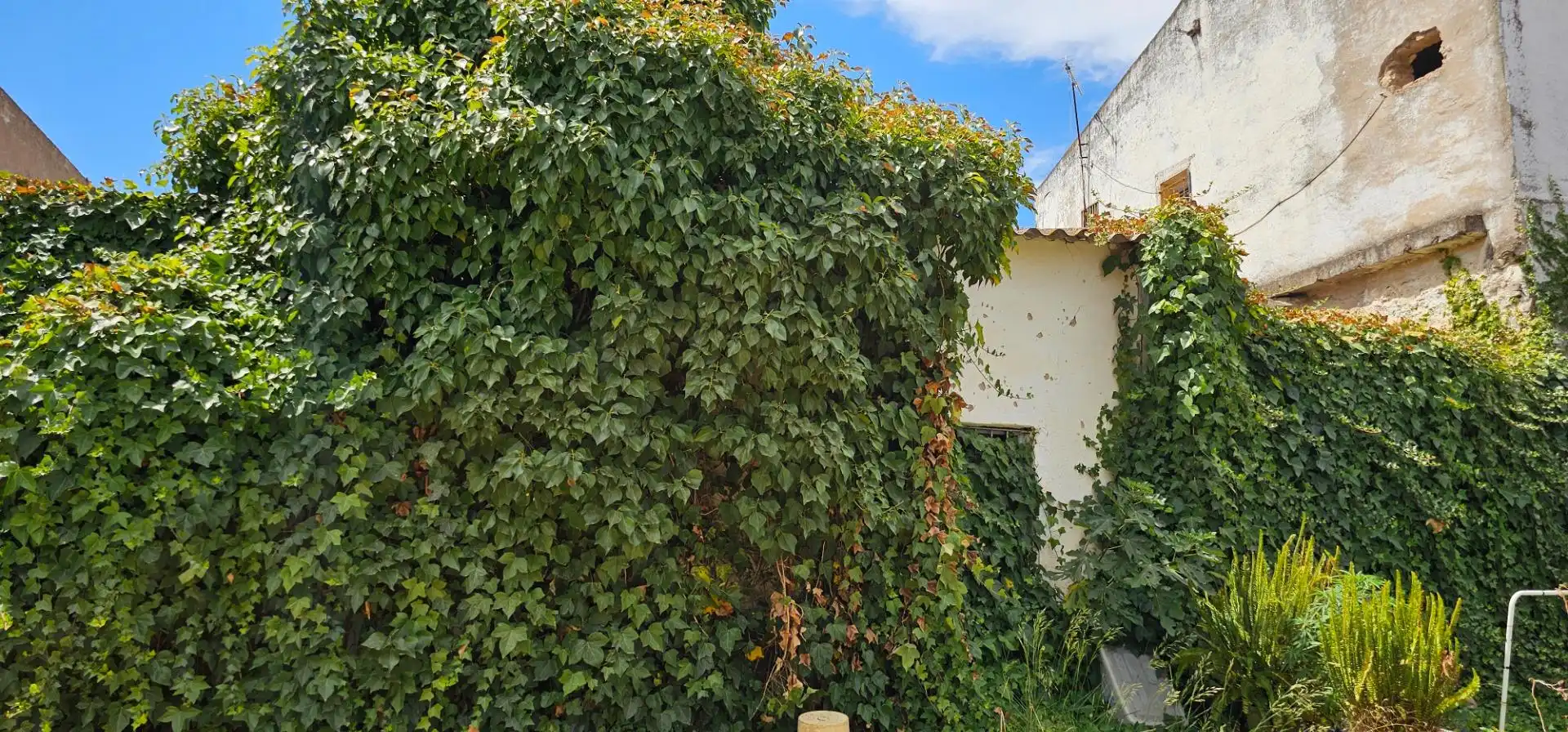 Vista exterior de Casa adosada en venta en La Algaba