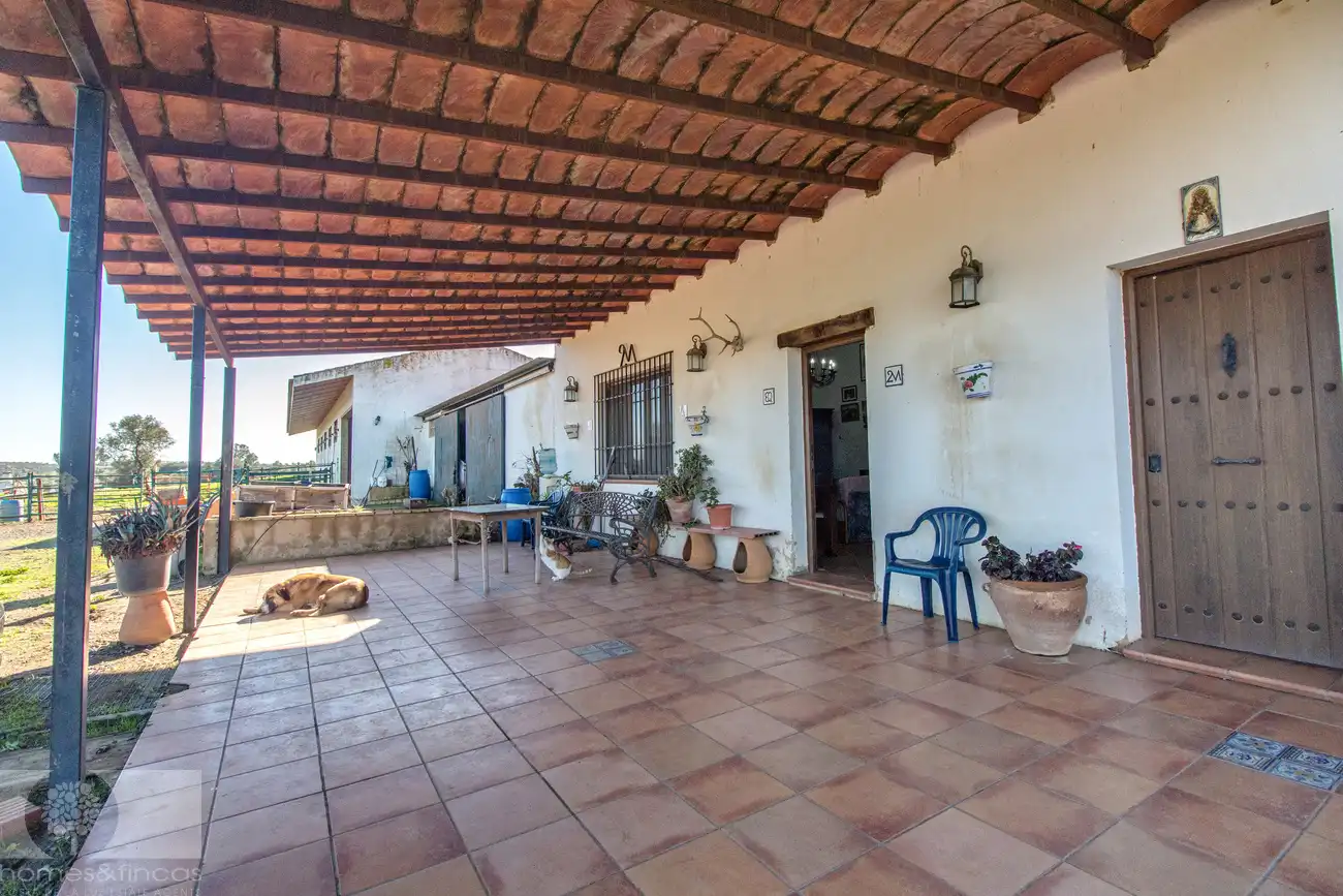 Terraza de Finca rústica en venta en Trigueros