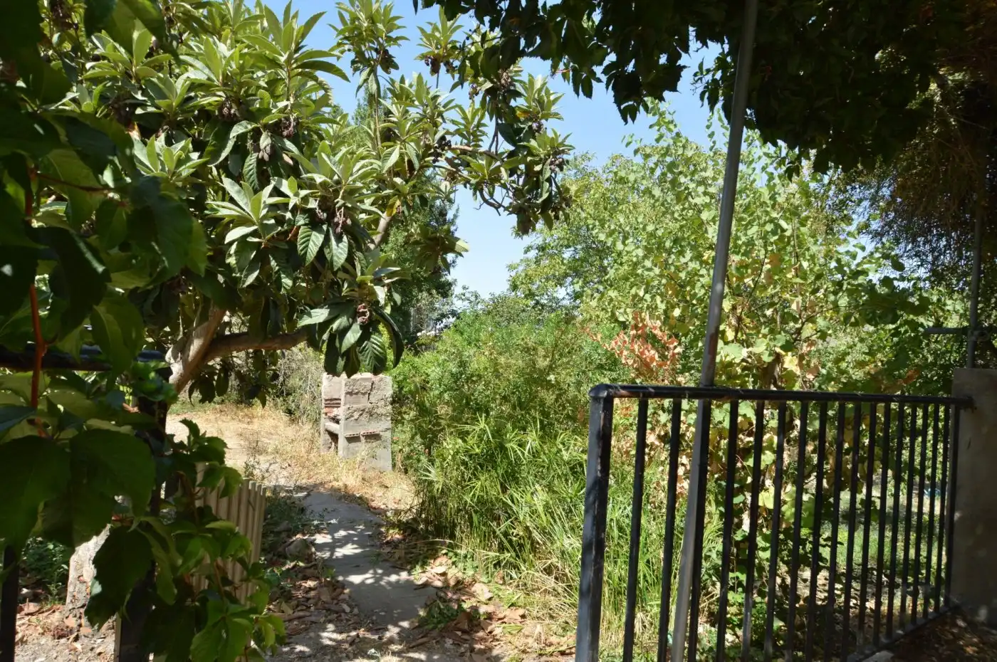 Vista exterior de Finca rústica en venda en Fondón