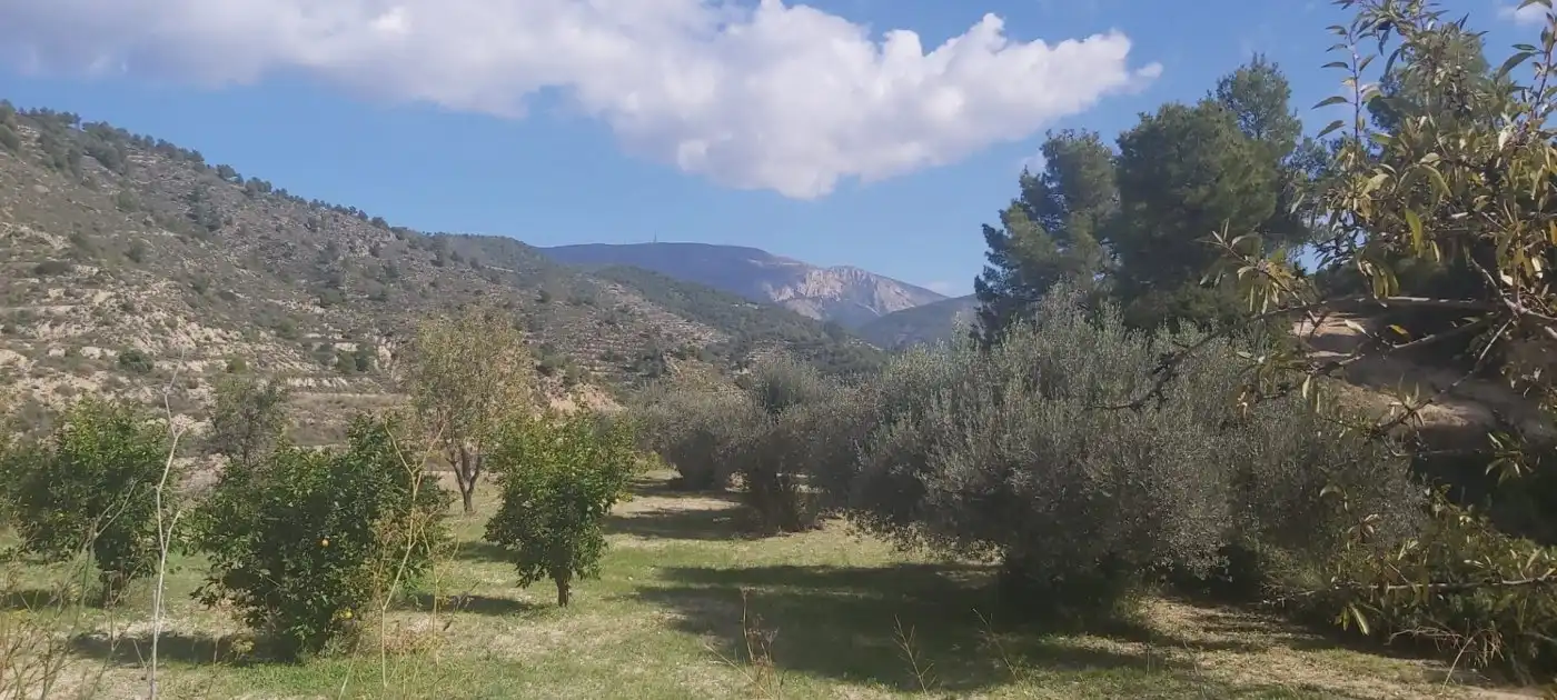 Terrenys i solars en venda a Relleu, imagen 18