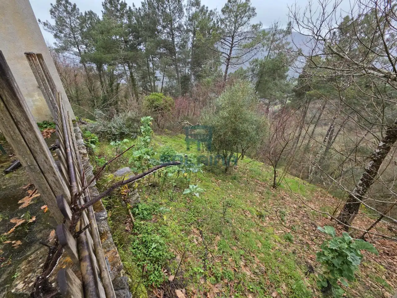 Casa o xalet en venda en Pantón amb Calefacció i Jardí privat