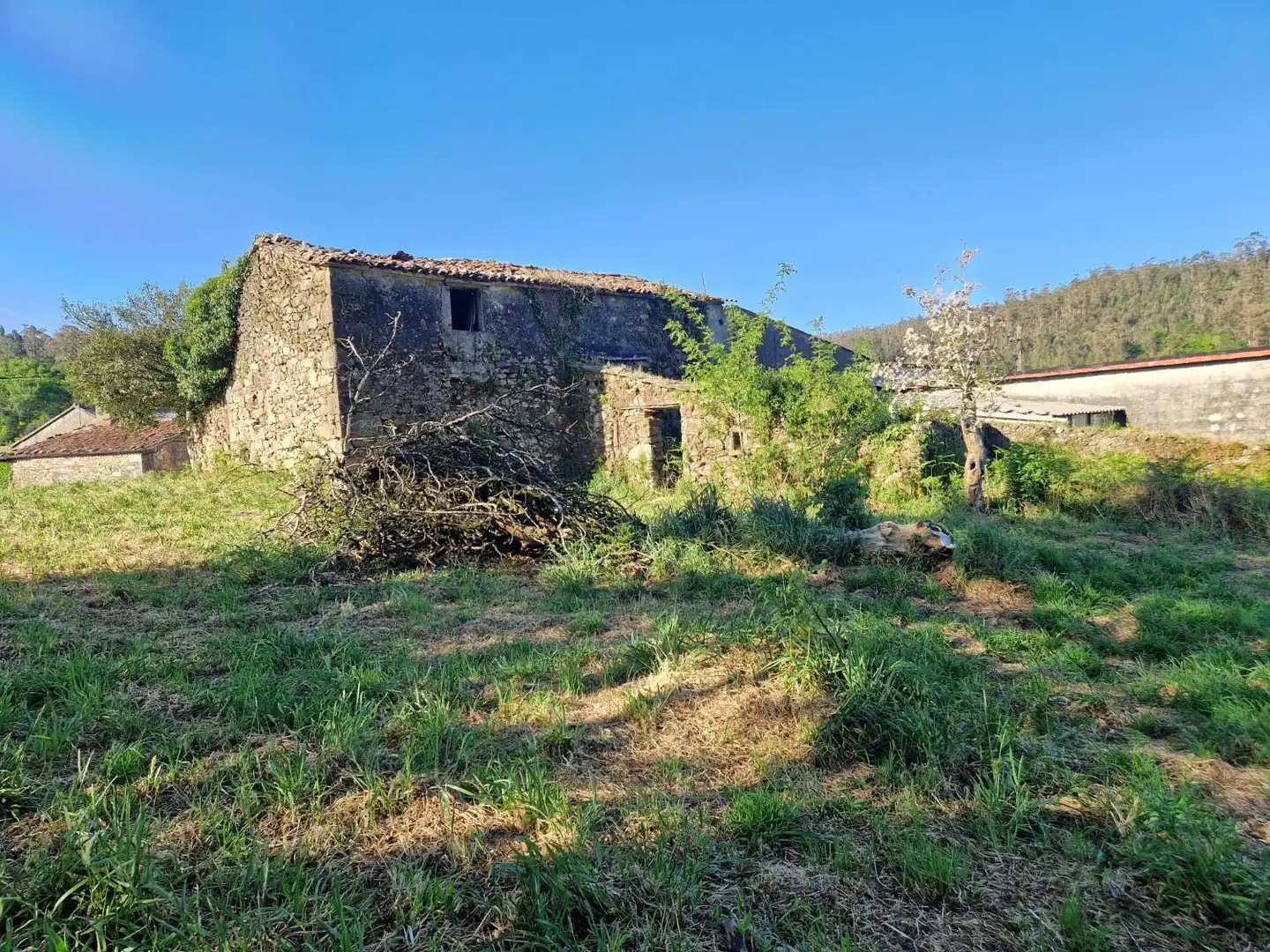 Lands and plots for sale in A Baña