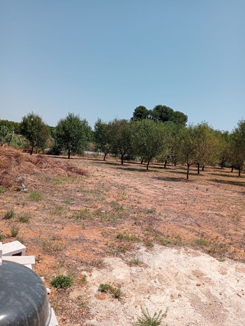 Terreno en venta en Alcàsser