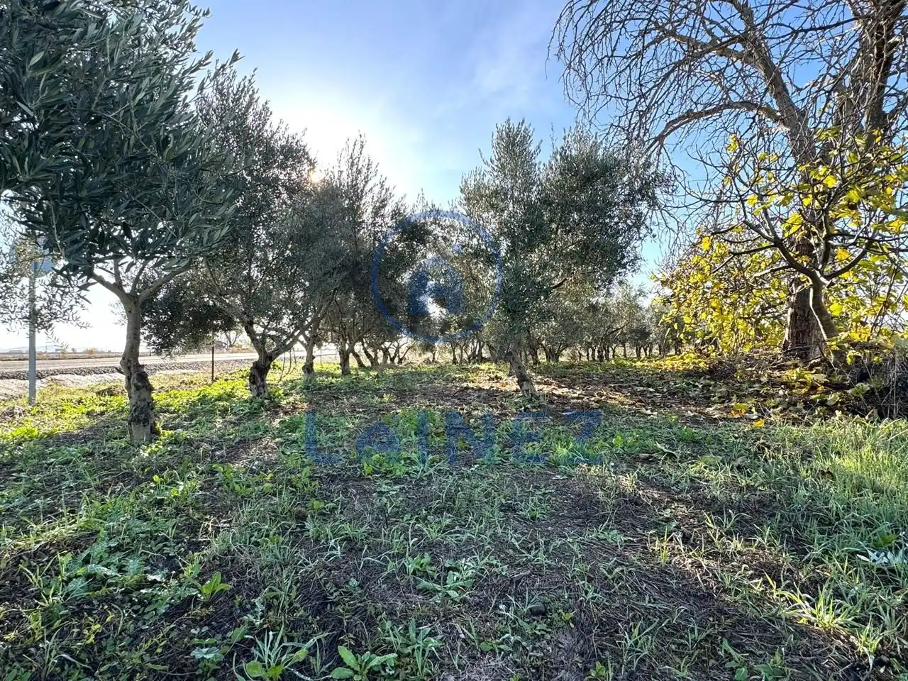 Terrains et parcelles à vendre à La Granjuela, imagen 3