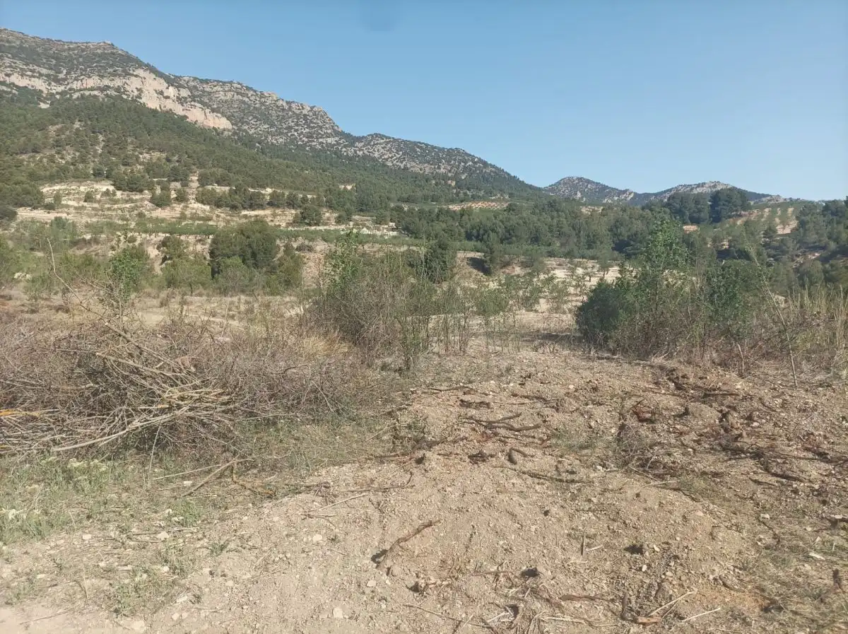 Residencial en venta en Lorca