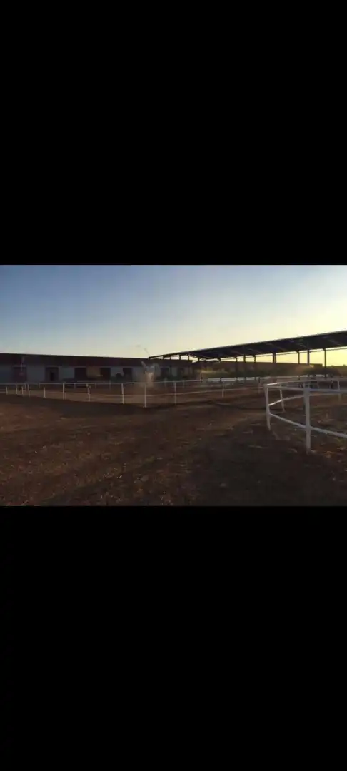 Terreny industrial en venda a EX-300 77, imagen 3