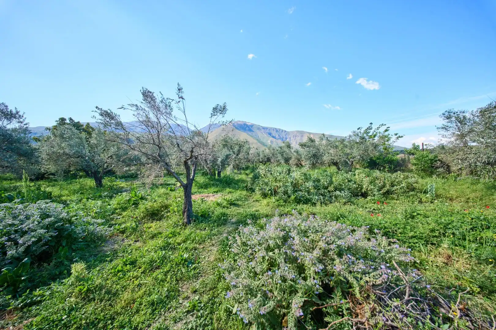 Casa rústica amb jardí en venda a Camino de la Vegueta, imagen 38