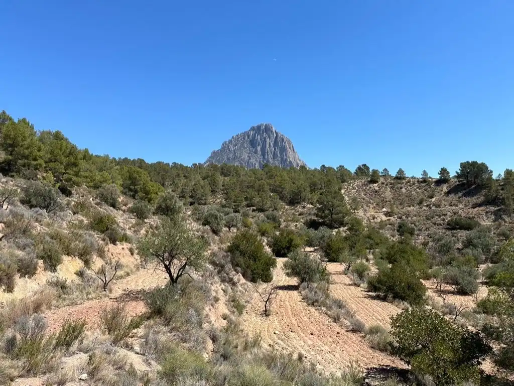Terreno rustico in vendita a LA SIMA, imagen 2