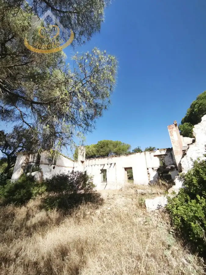 Terreni e lotti in vendita a Moguer, imagen 11