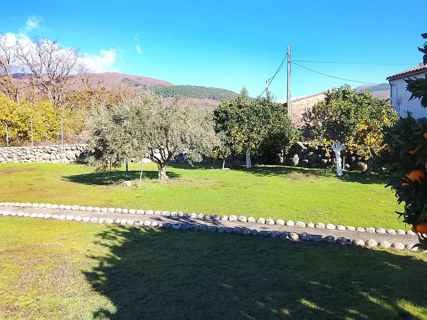 Jardín de Terreno en venta en Candeleda