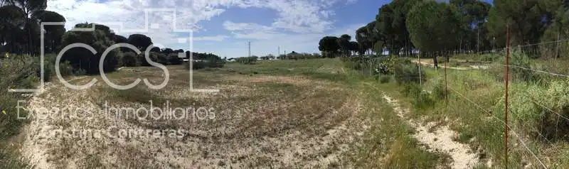 Finca rústica en venda en Almonte amb Terrassa i Moblat