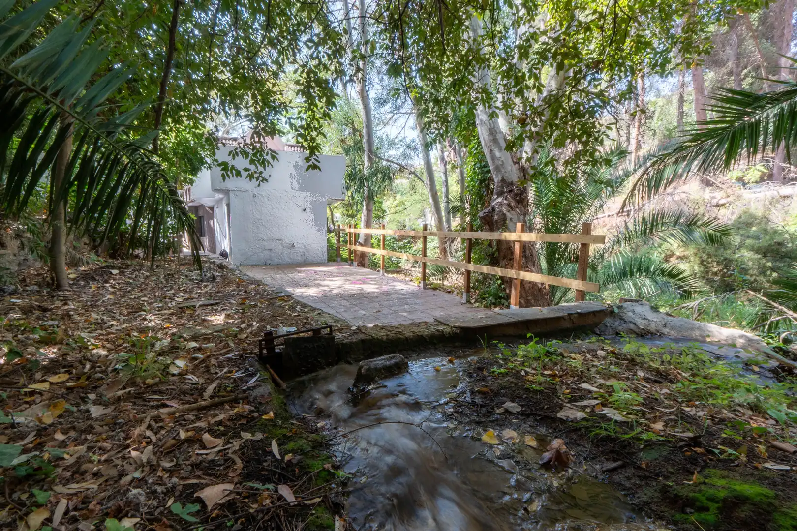 Business premises for sale in Barrio SALADO, imagen 33