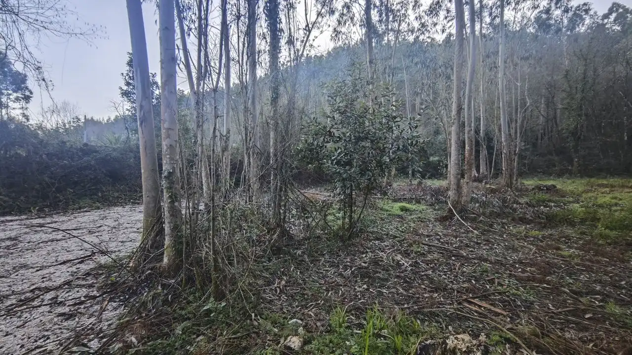 Terreno rustico in vendita a Pría - Nueva-Hontoria - Naves, imagen 3