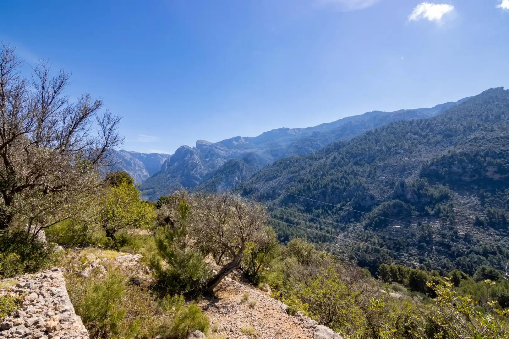 Vista exterior de Terreno en venta en Sóller