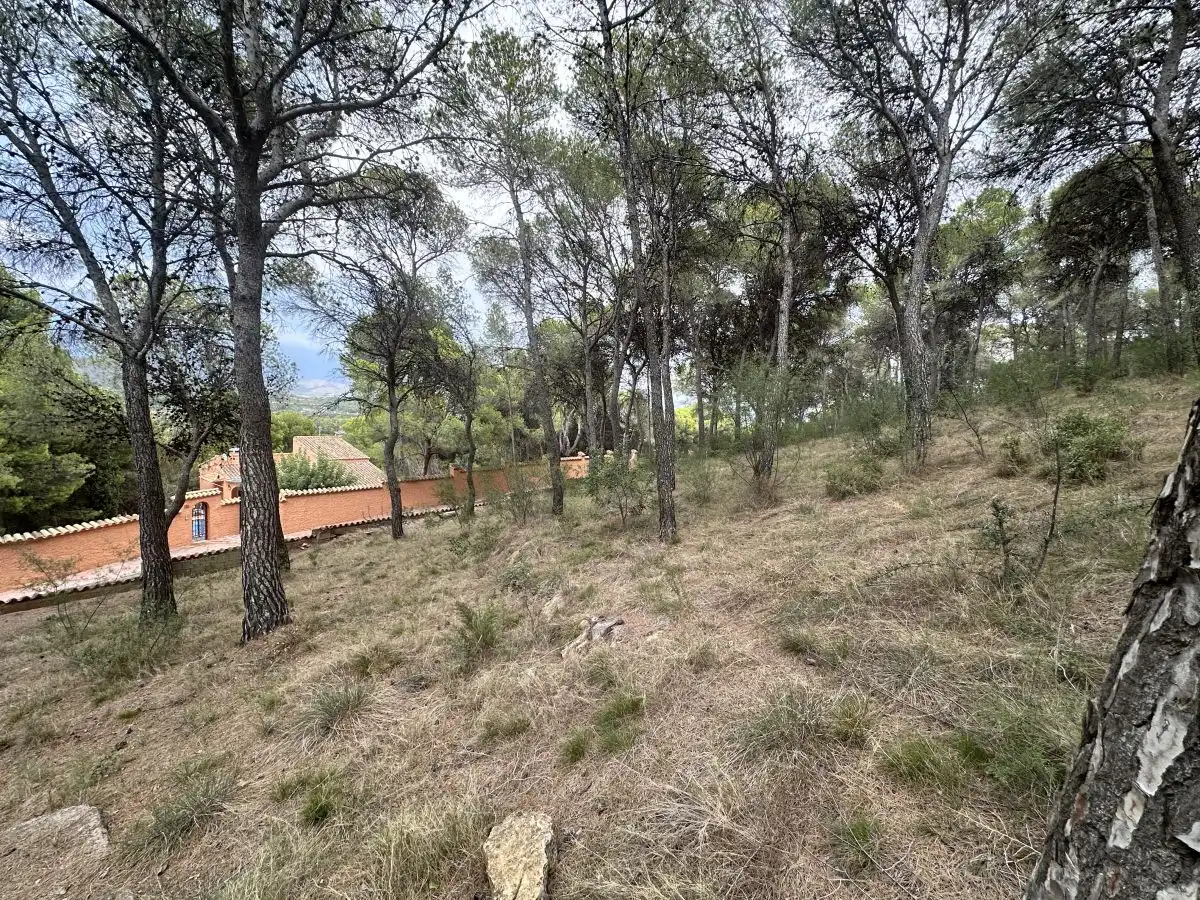 Wohnbaugrundstück zum Verkauf in Torres Torres, imagen 27