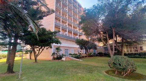 Foto 4 de Estudi de lloguer a Avinguda del Nord, 6, Playa de Gandia, Valencia