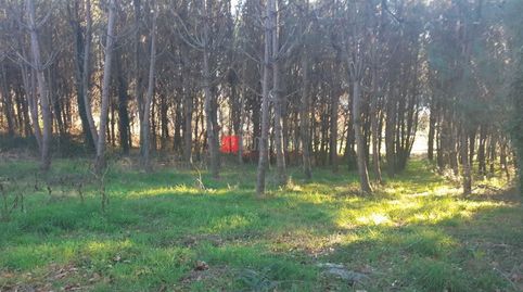 Se vende finca en Sarandón do Sar, Vedra con 2 galpones ya construidos.
Cuenta con 18250m², de los cuales 6860m² son edificables , imatge 5