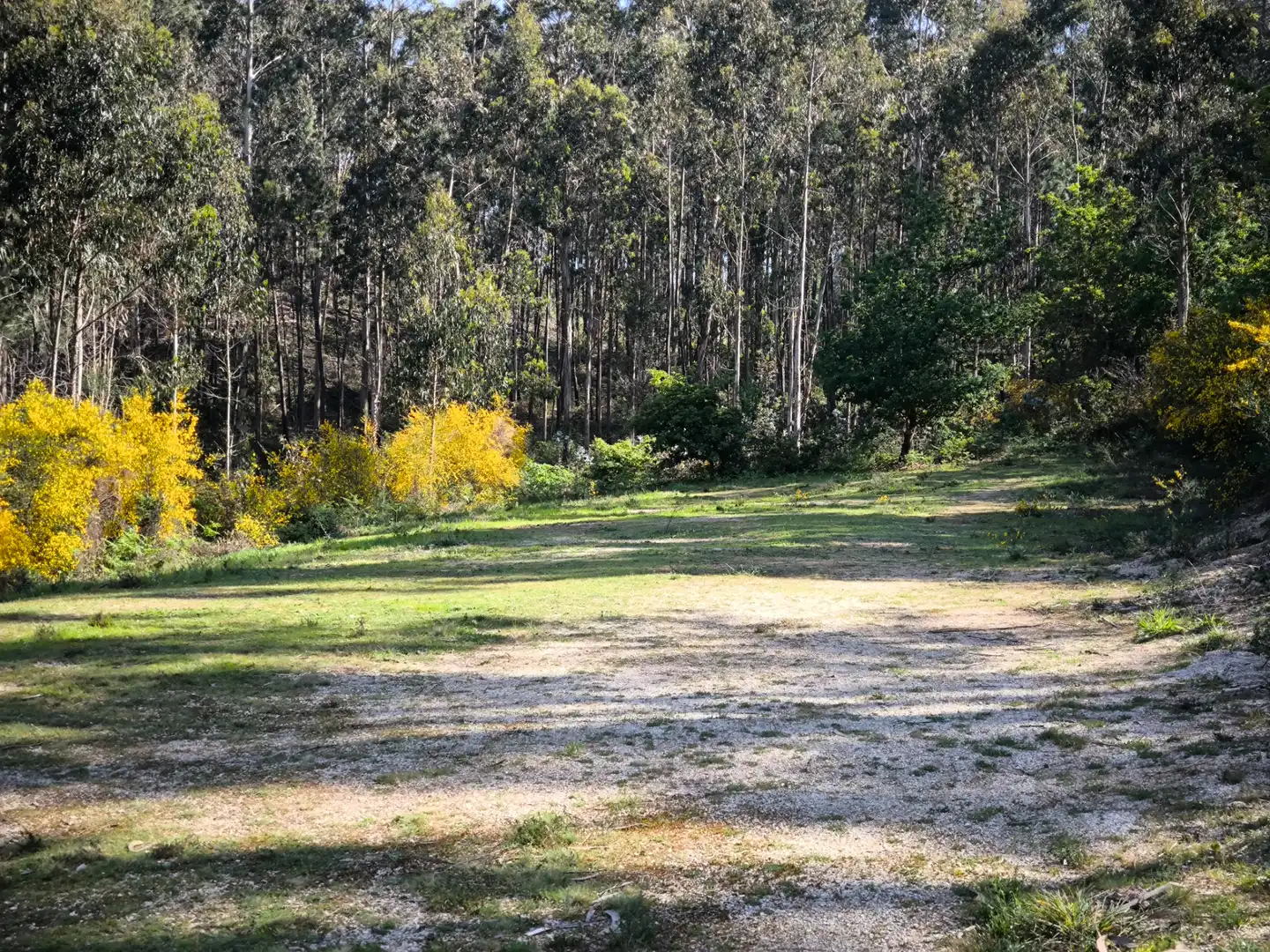 Terreno rustico in vendita a Cea, imagen 9
