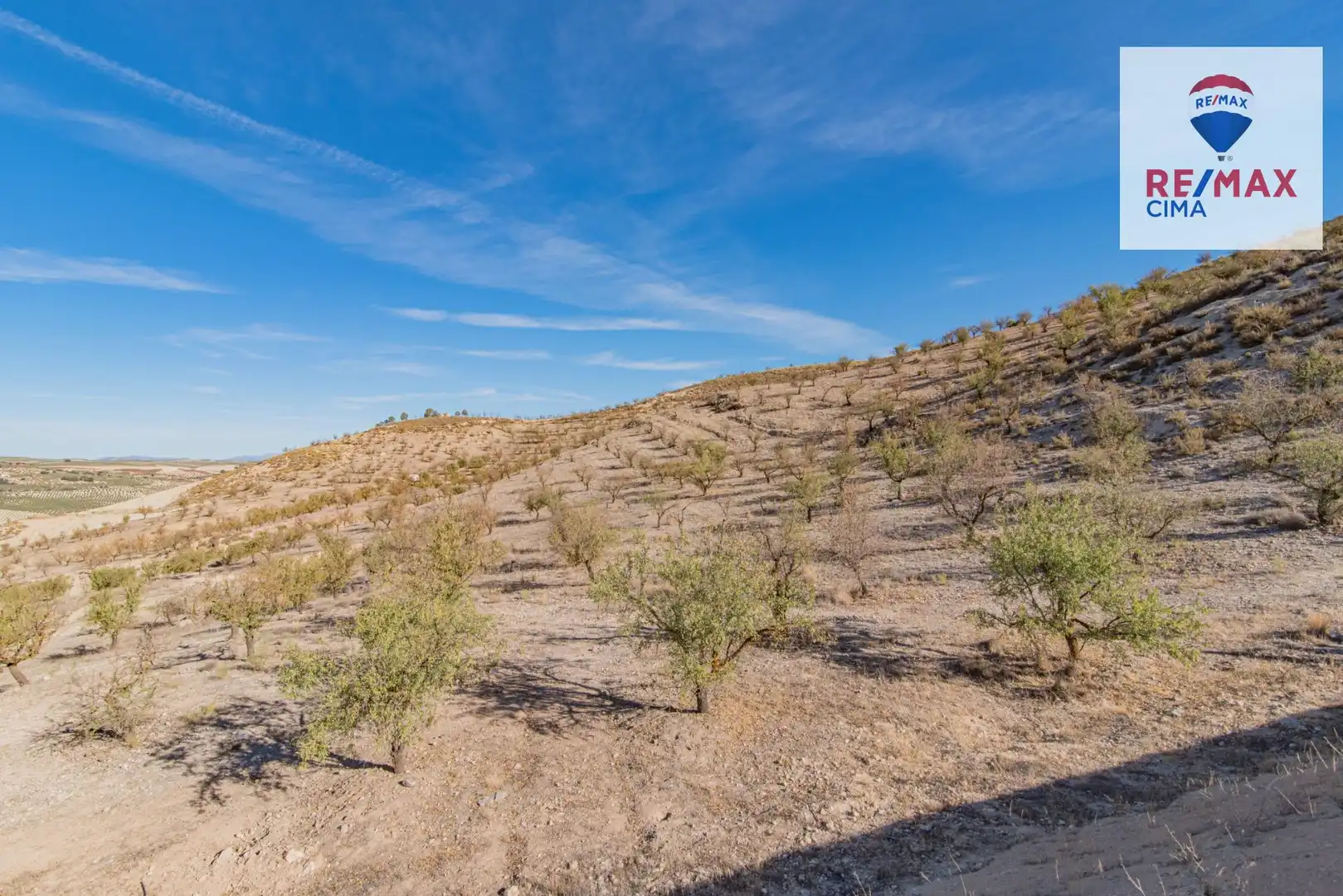 Terreno en venta en Santa Cruz del Comercio