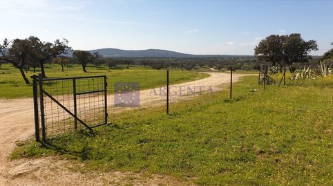 Foto 5 de Casa o chalet en venta en Aliseda, Cáceres