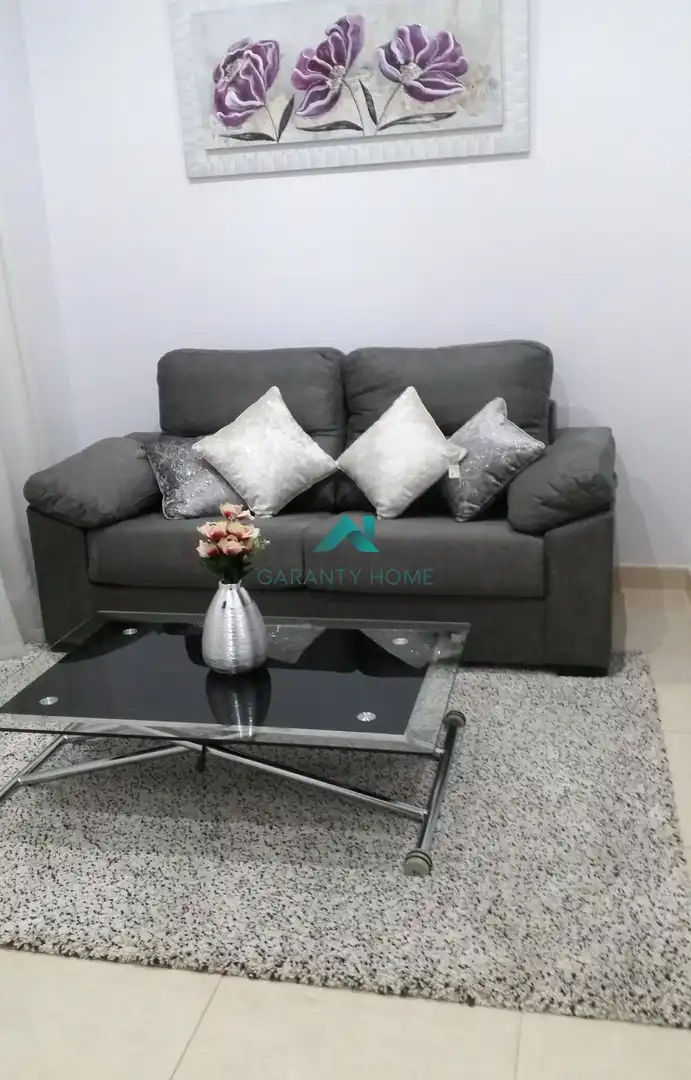Appartement avec terrasse à louer à Casco Antiguo, imagen 19