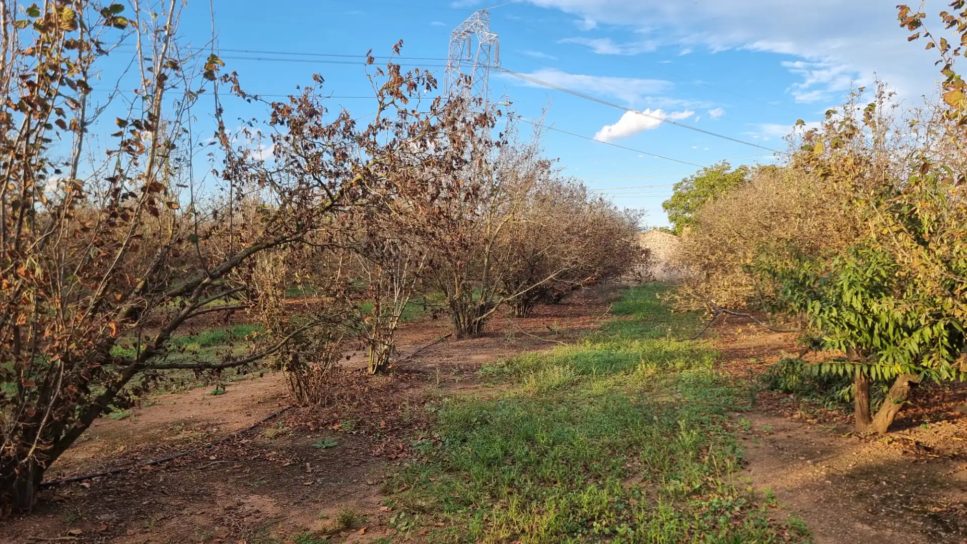 Terreno en venta en Vilallonga del Camp