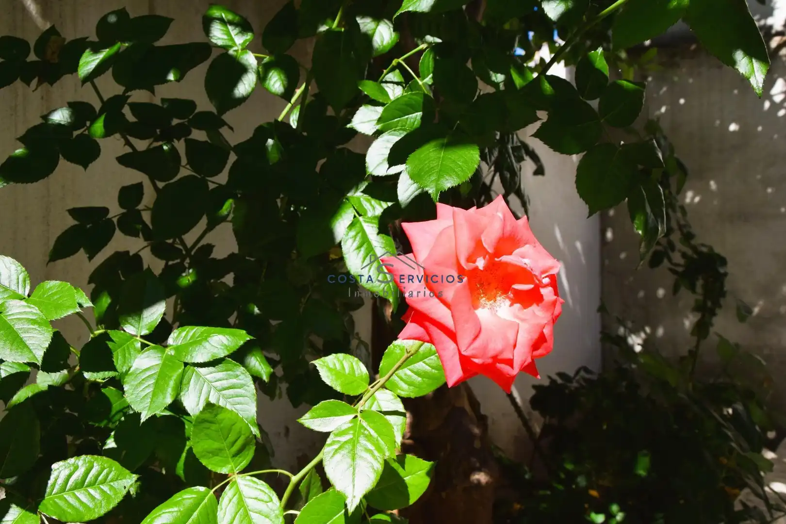 Jardí de Casa o xalet en venda en Gibraleón amb Traster