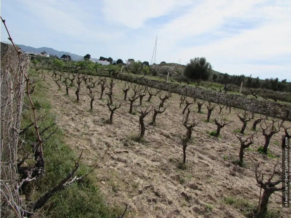 Country house for sale in Sorbas, imagen 13
