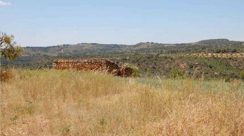 Foto 4 de Finca rústica en venta en N/a, La Granadella, Lleida