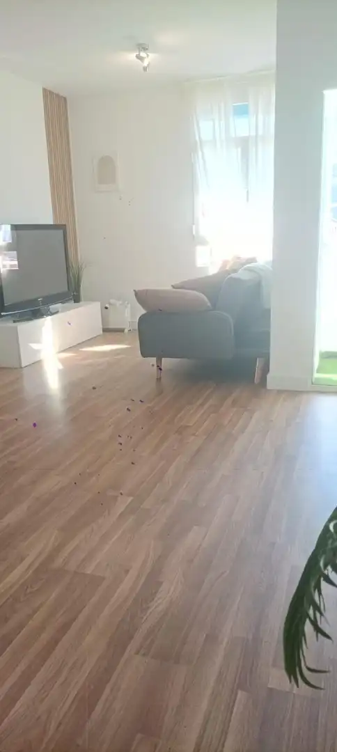 Pis de lloguer a Casería de Montijo