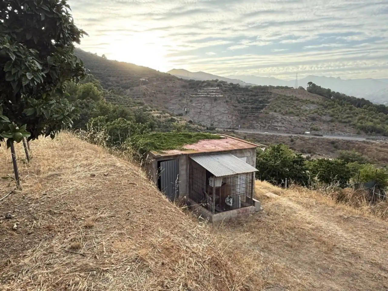 Vista exterior de Finca rústica en venta en Almuñécar con Jardín privado y Terraza