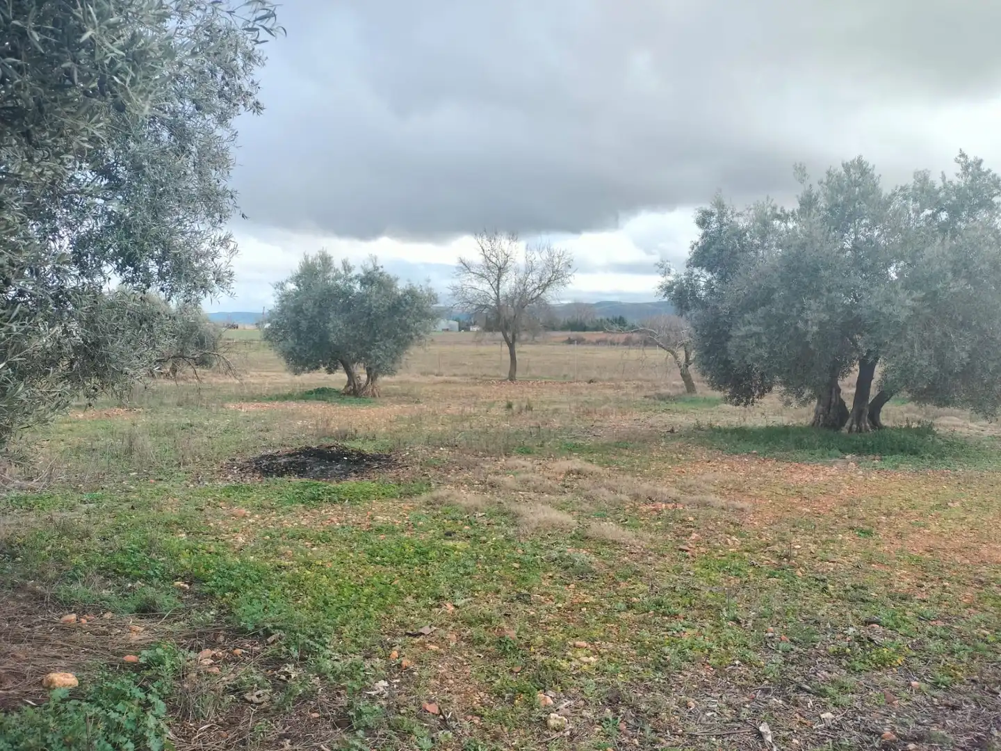 Finca rústica en venta en Argamasilla de Calatrava