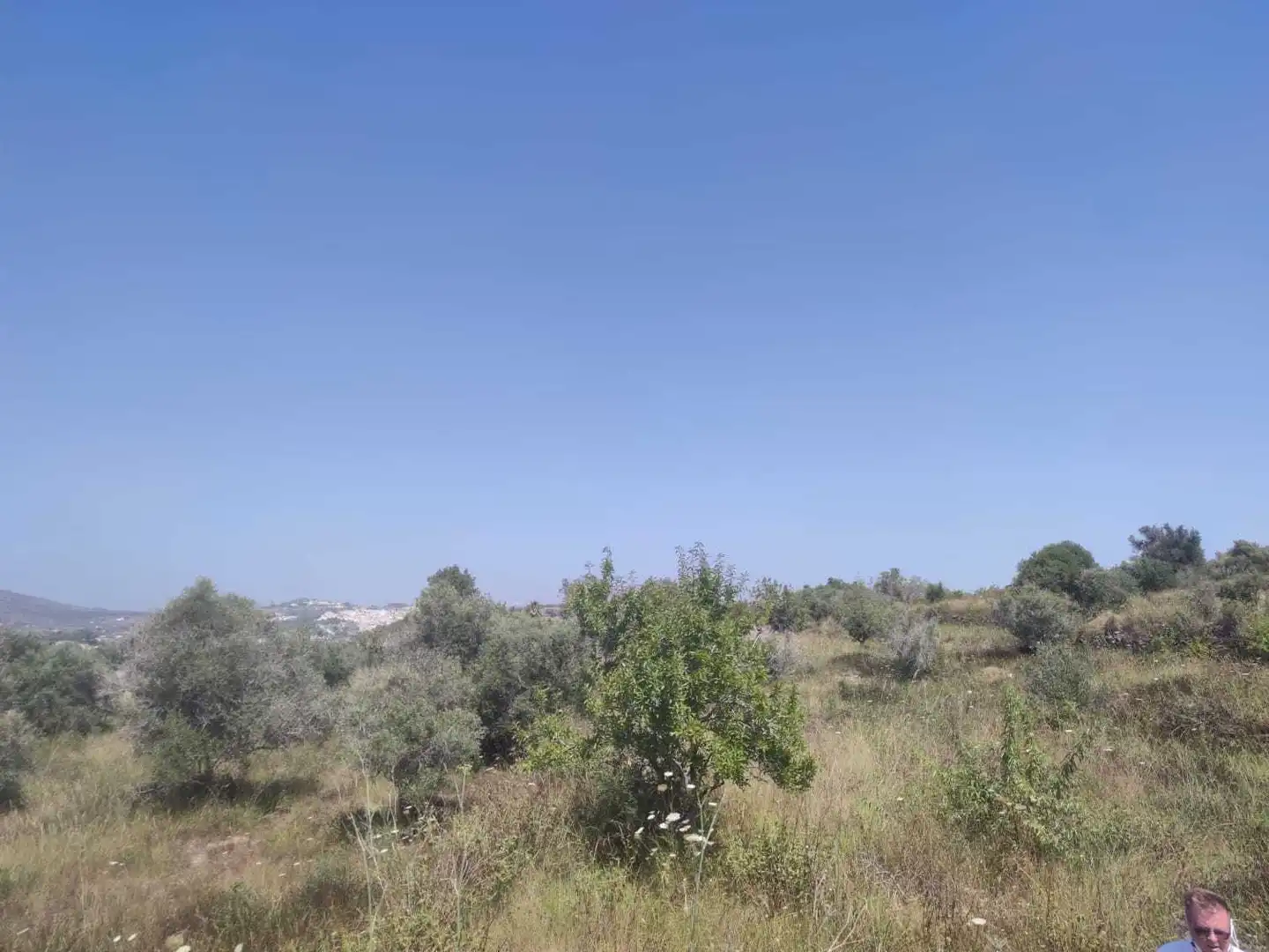 Imagen 3 del anuncio