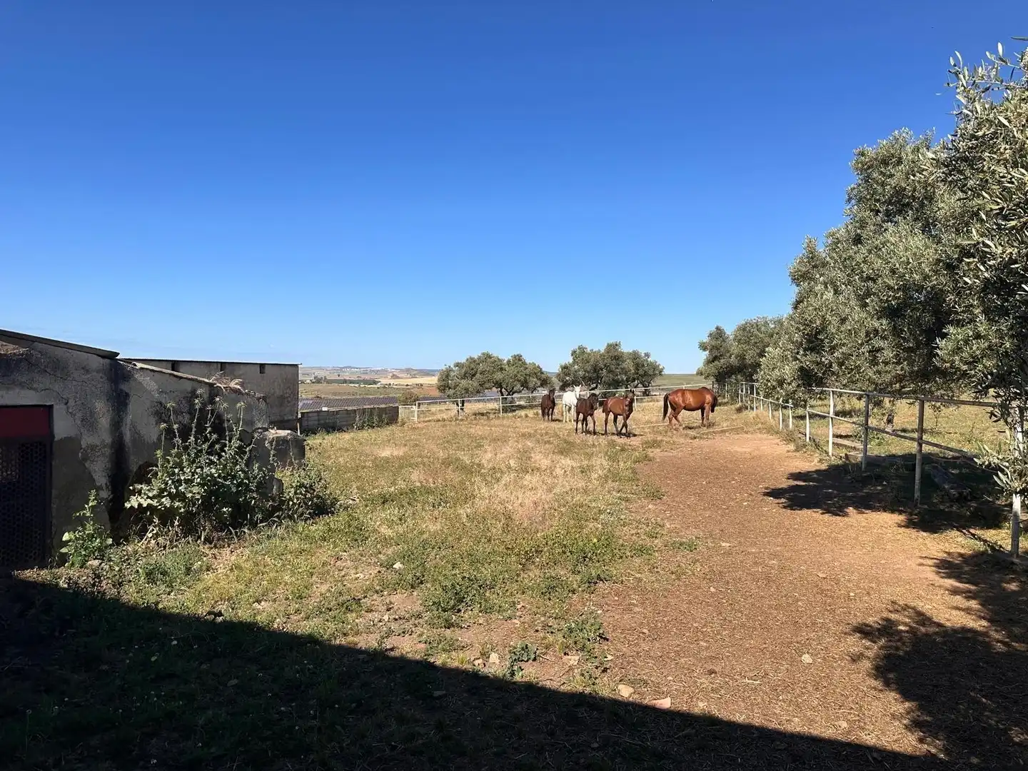 Finca rústica en venta en Peñarroya-Pueblonuevo con Terraza y Amueblado