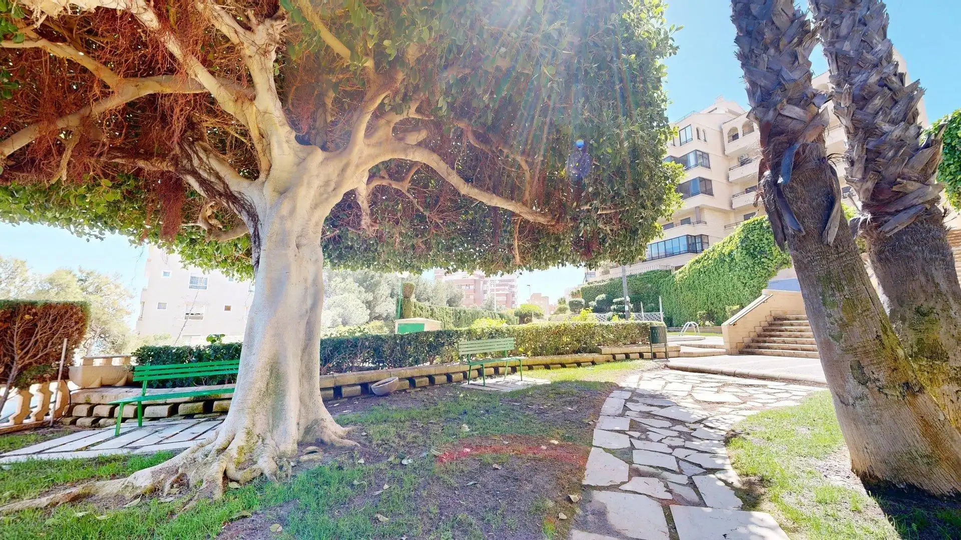 Jardí de Apartament de lloguer en Elche / Elx amb Calefacció, Jardí privat i Terrassa